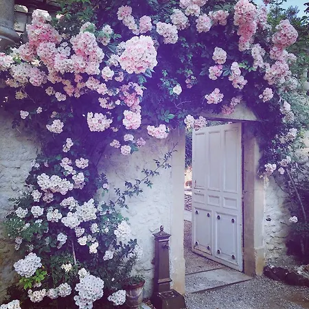 Chateau Sainte Cecile *